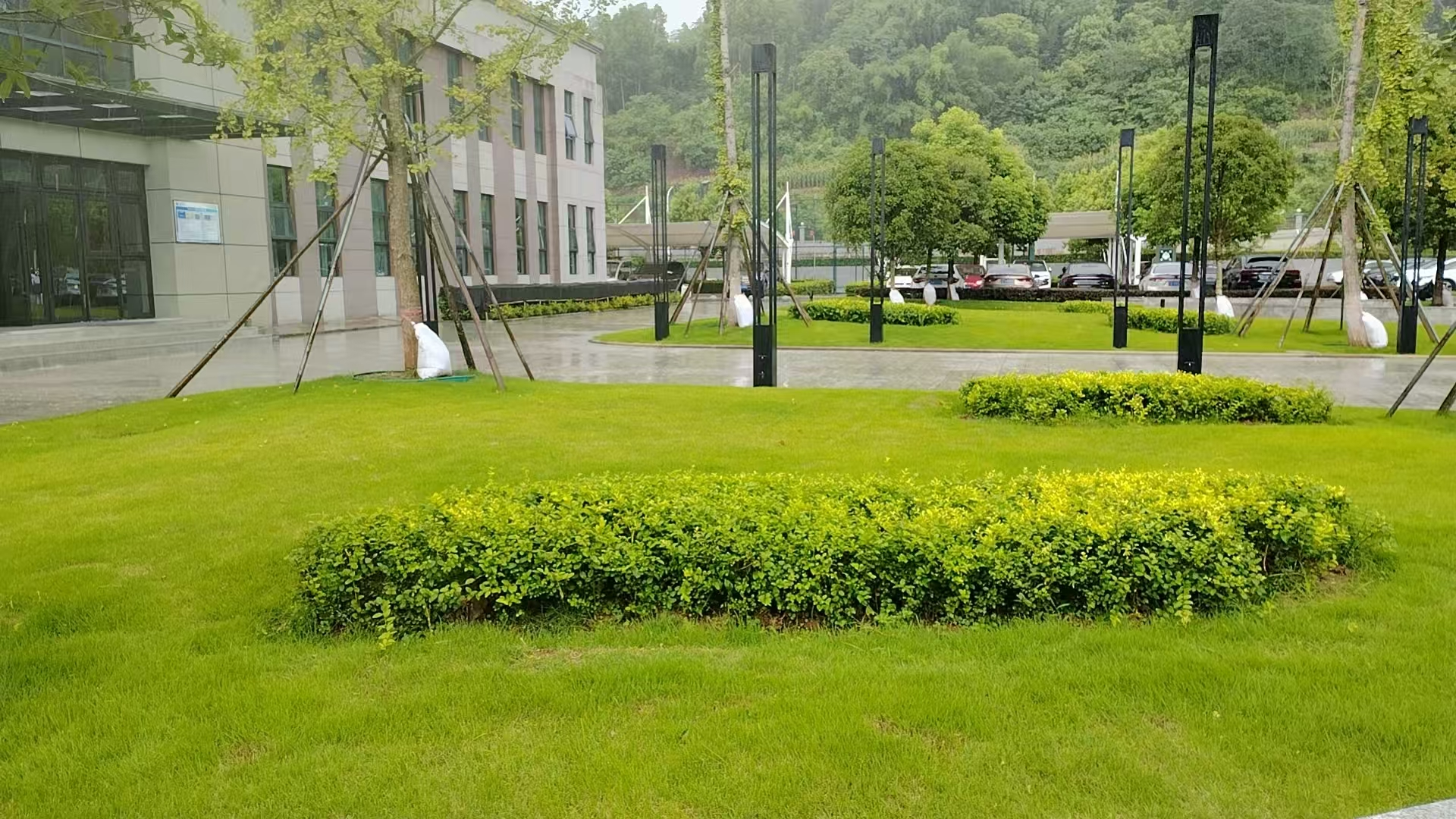 廠區綠化煥新顏1.jpg 廠區綠化煥新顏1.jpg